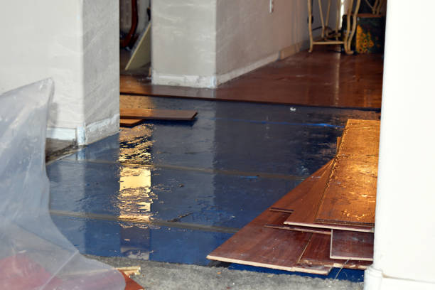 Professional Basement Water Removal technician working in Bass Lake, IN